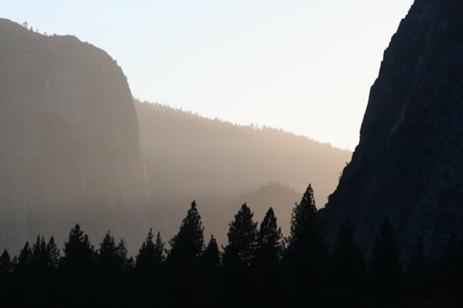 Forested valley and hills by Alex Szymanek