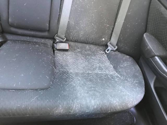 service animal leaves hair all over car seat