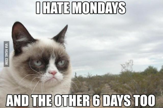 Grumpy-Cat-Memes-01