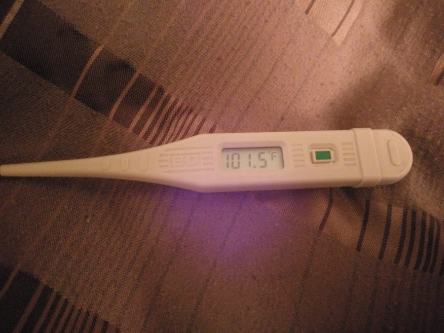 digital thermometer reading 101.5